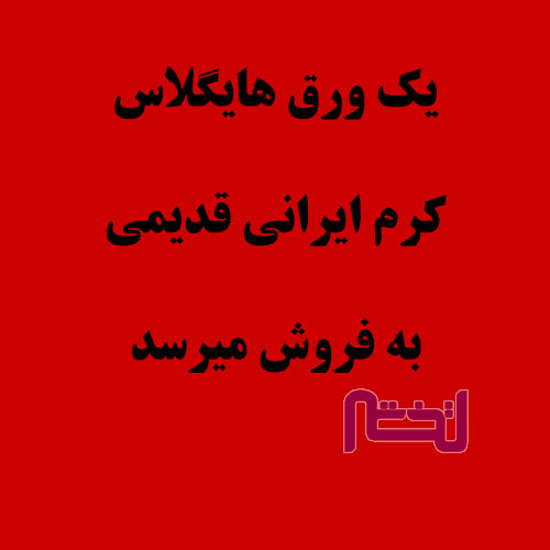 هایگلاس کرم ایرانی