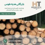 قیمت چوب یولکا خشک، فروش چوب روسی بصورت عمده و بی واسطه